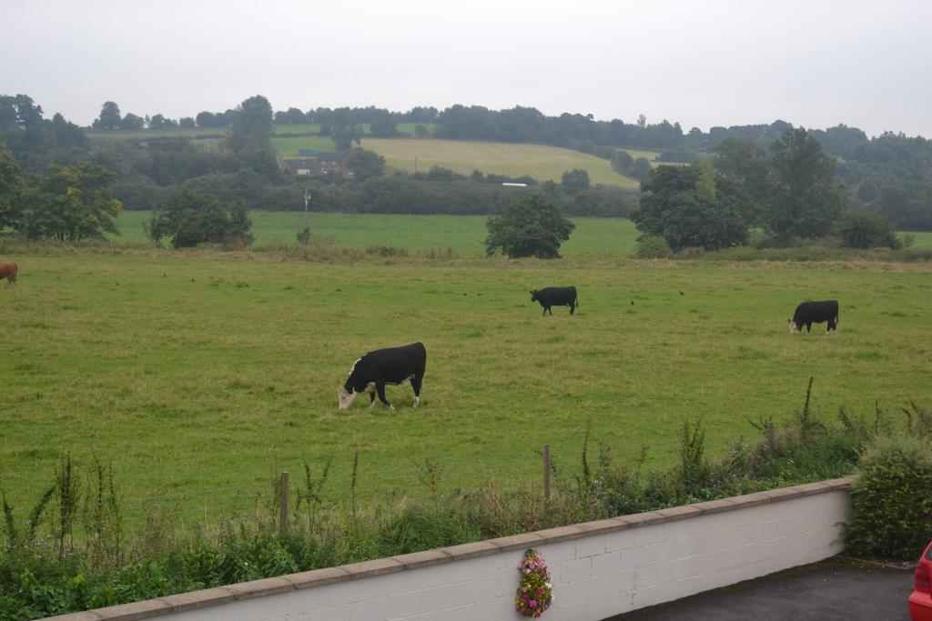 The Lilacs Ashbourne  Exterior photo
